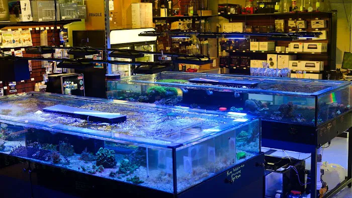 Reef eScape Picture 6