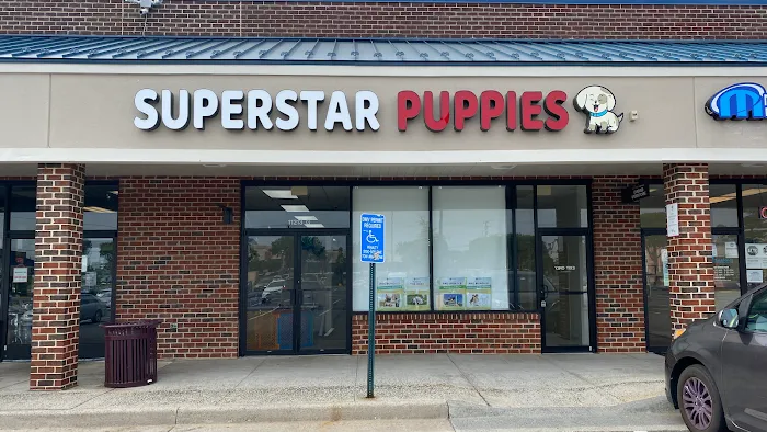 SuperStar Puppies Picture 6