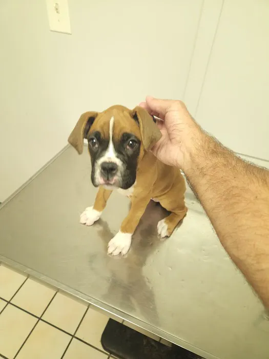 Riverside Animal Hospital Picture 3