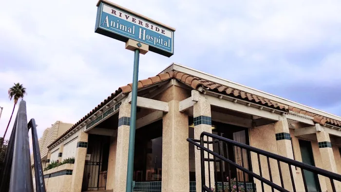 Riverside Animal Hospital Picture 9