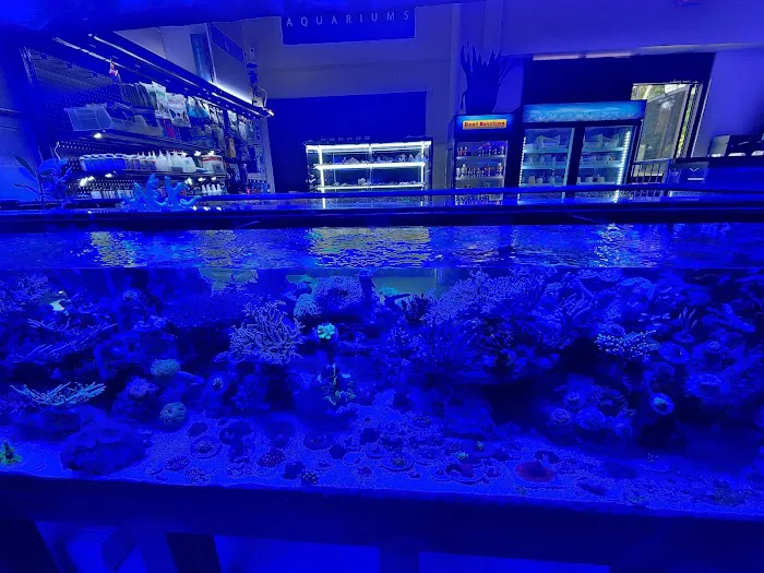 Supreme Reefs Picture 4