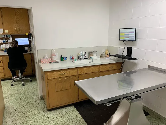 Town & Country Veterinary Clinic Picture 4