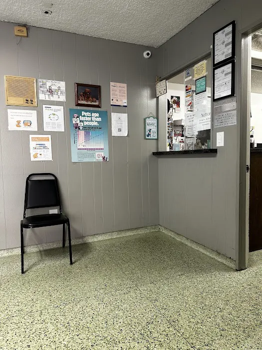 Town & Country Veterinary Clinic Picture 7