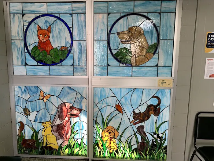 Town & Country Veterinary Clinic Picture 3