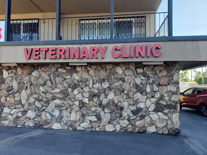 Town & Country Veterinary Clinic Picture 10