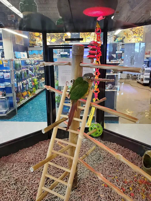 Petco Picture 9