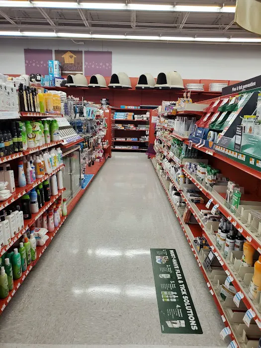 Petco Picture 7