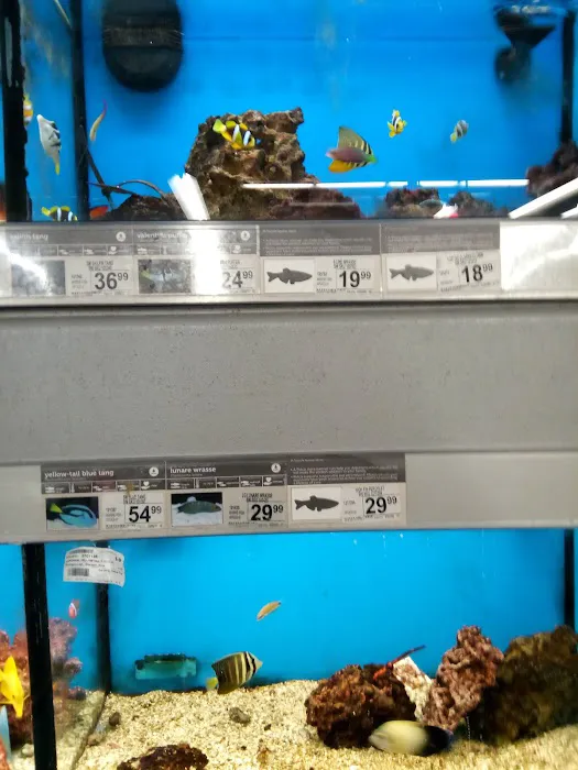 Petco Picture 4