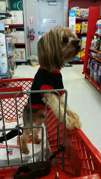 Petco Picture 3