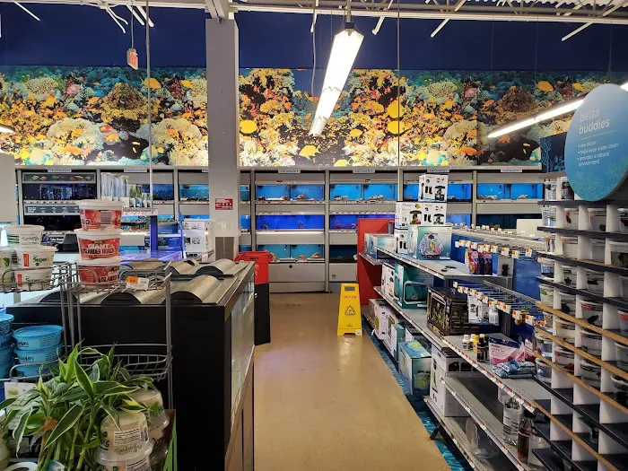 Petco Picture 8