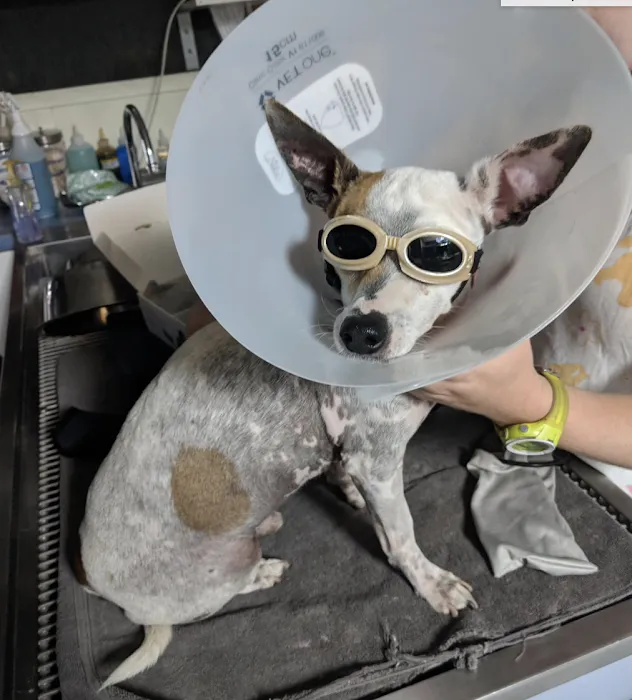 The Pets Place Animal Hospital Picture 7