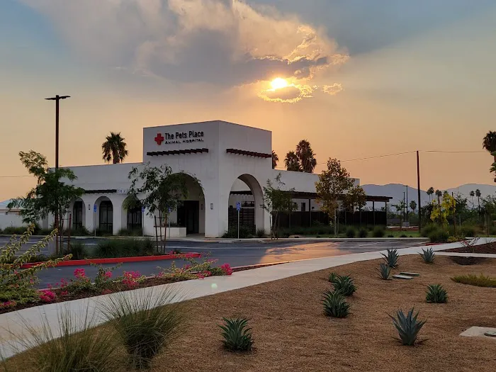 The Pets Place Animal Hospital Picture 2