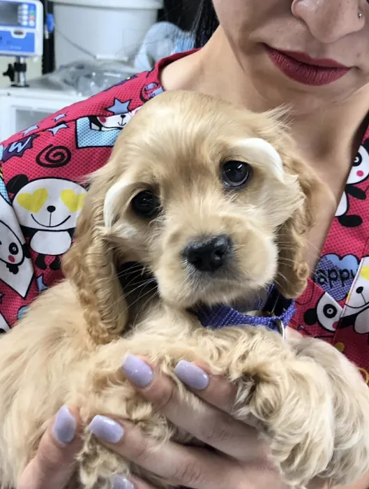 The Pets Place Animal Hospital Picture 5