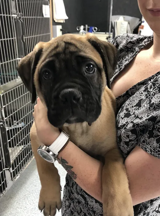 The Pets Place Animal Hospital Picture 6