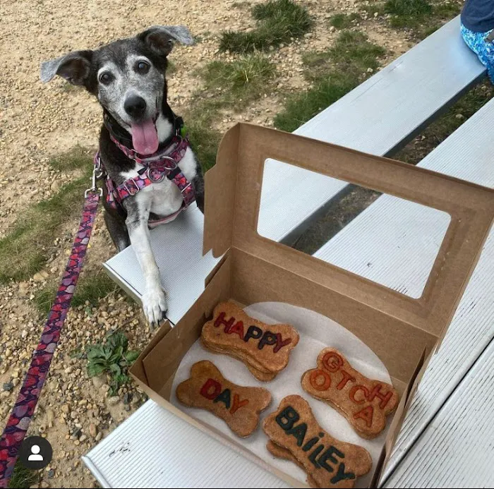 PawzFurTreats Picture 8