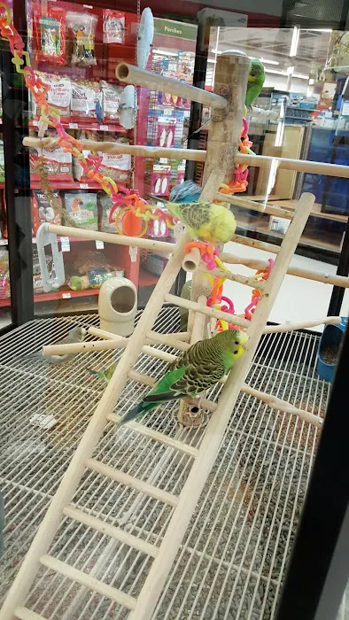 Petco Picture 2