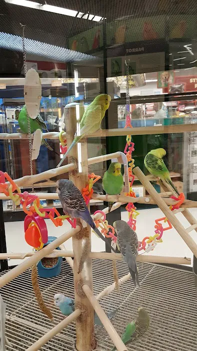 Petco Picture 1