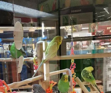 Petco