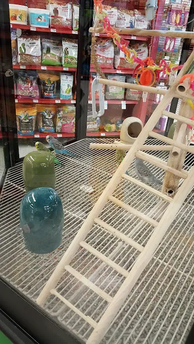Petco Picture 3