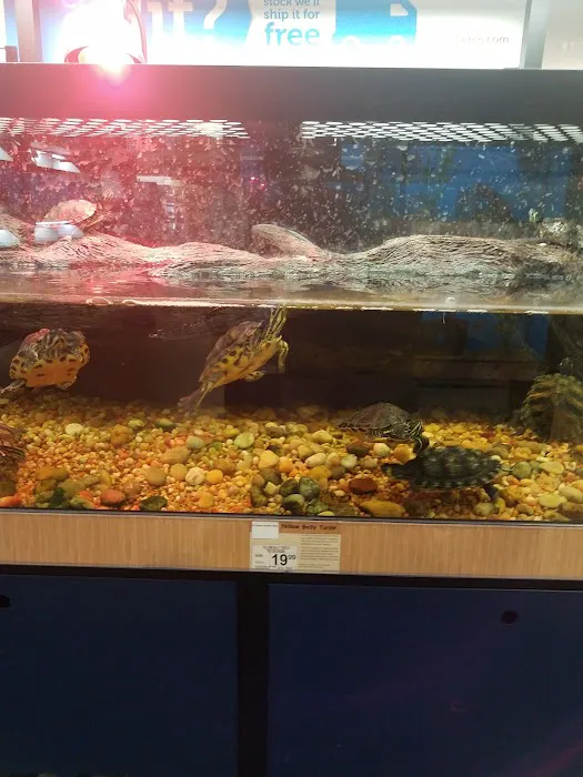 Petco Picture 9