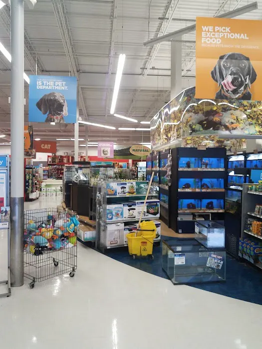 Petco Picture 8