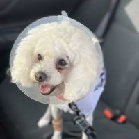 Canyon Crest Animal Hospital ico