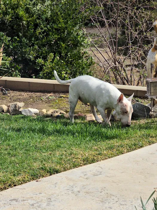 Canyon Crest Animal Hospital Picture 6