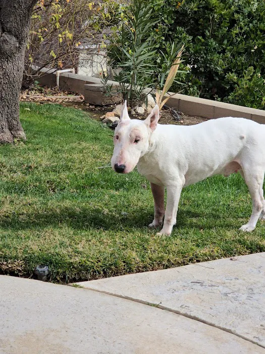 Canyon Crest Animal Hospital Picture 8