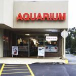 Beltway Aquarium