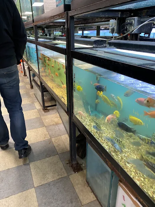 Beltway Aquarium Picture 2