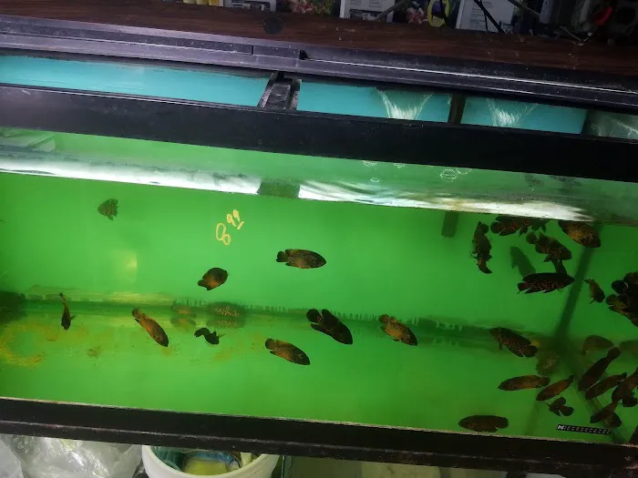 Beltway Aquarium Picture 5