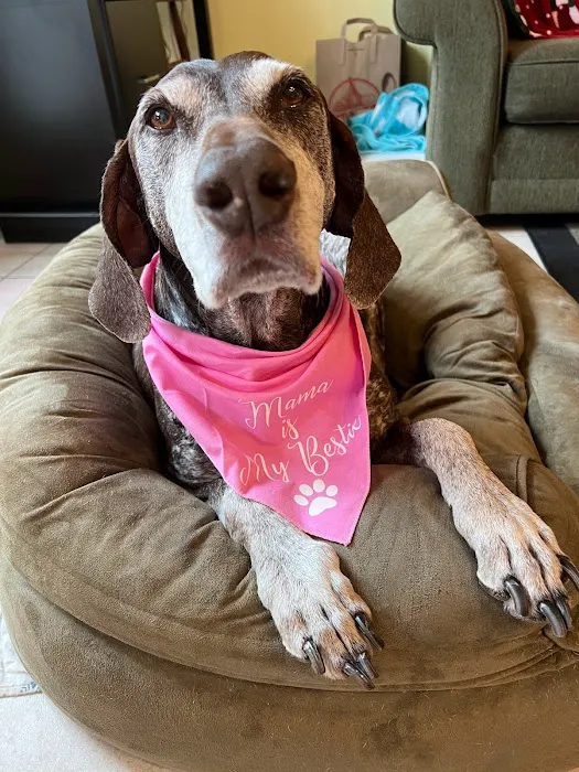 Pampered Pet Boutique and Barkery Picture 8