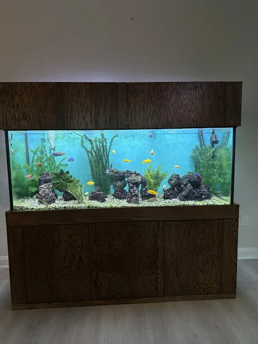 Aquarium Management Systems Picture 2