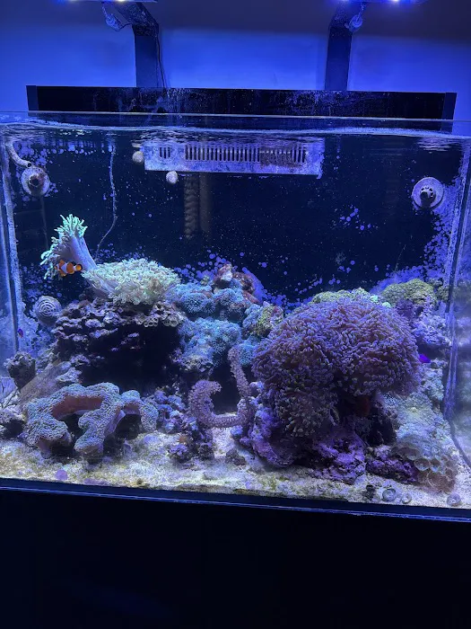 Aquarium Management Systems Picture 3