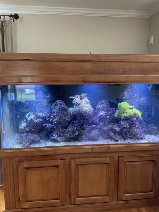 Aquarium Management Systems Picture 1