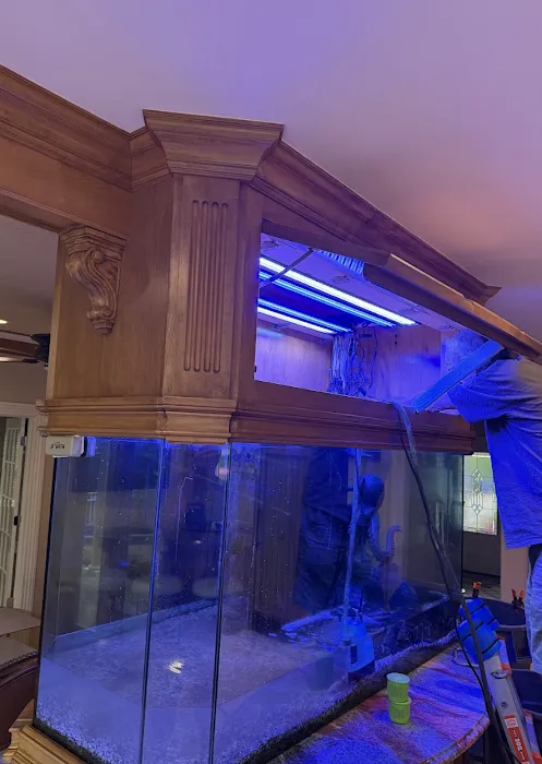 Aquarium Management Systems Picture 9