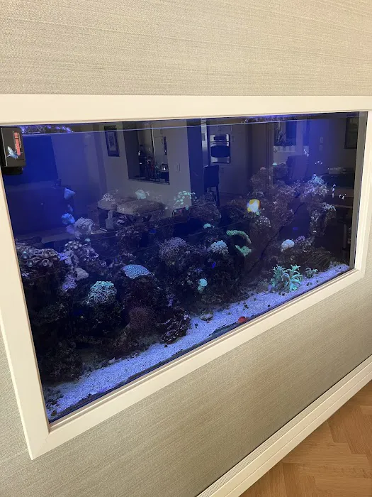 Aquarium Management Systems Picture 5
