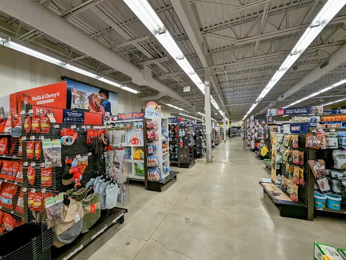 Petco Picture 1