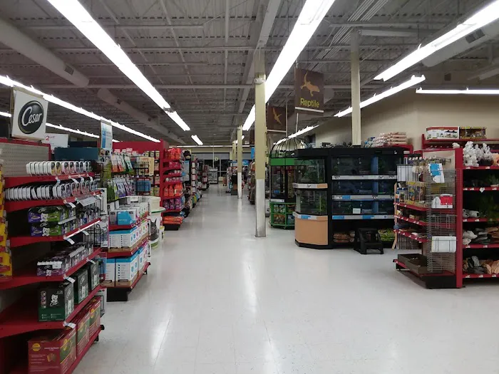 Petco Picture 2