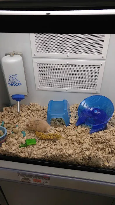 Petco Picture 9
