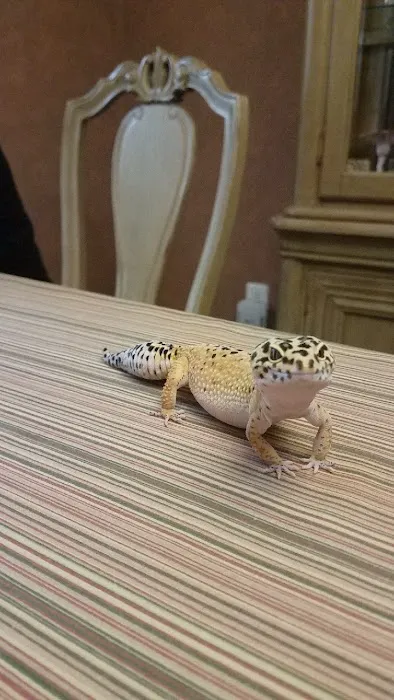 Petco Picture 3