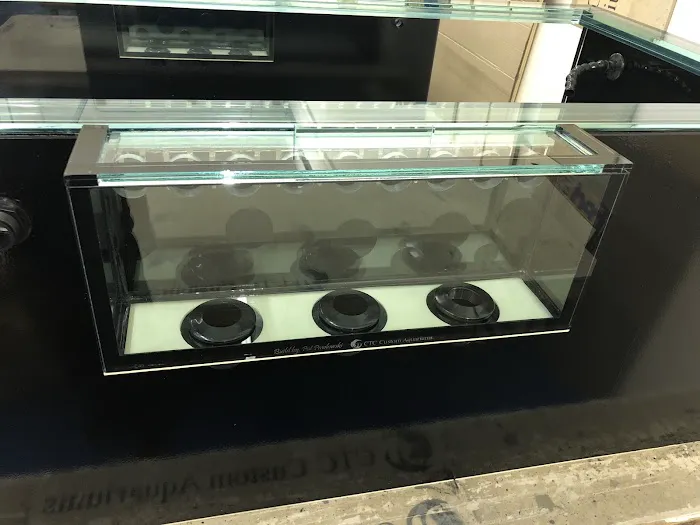 CTC Custom Aquariums Picture 3