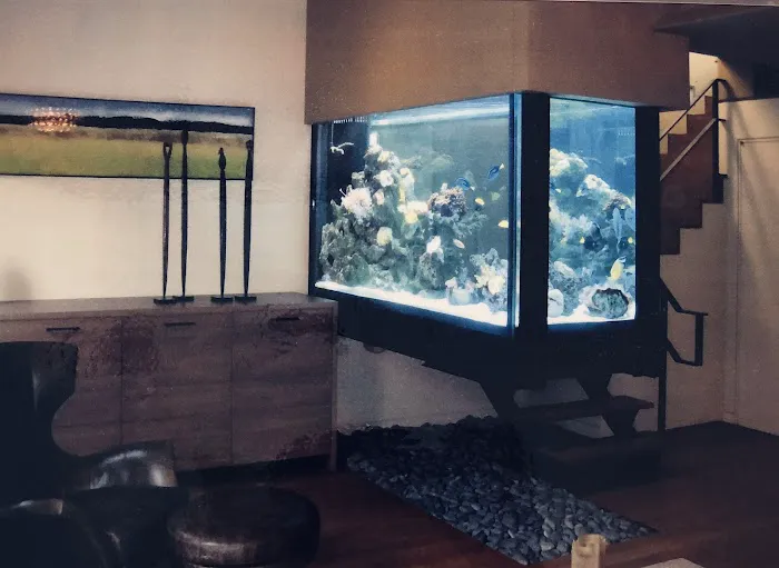 CTC Custom Aquariums Picture 6