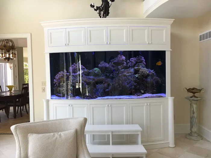 CTC Custom Aquariums Picture 4
