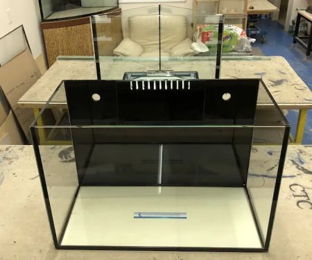 CTC Custom Aquariums