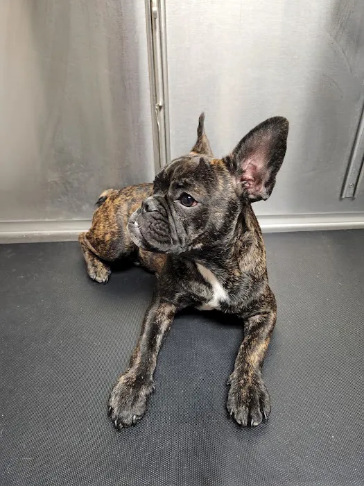 Inland Central Animal Hospital Picture 5