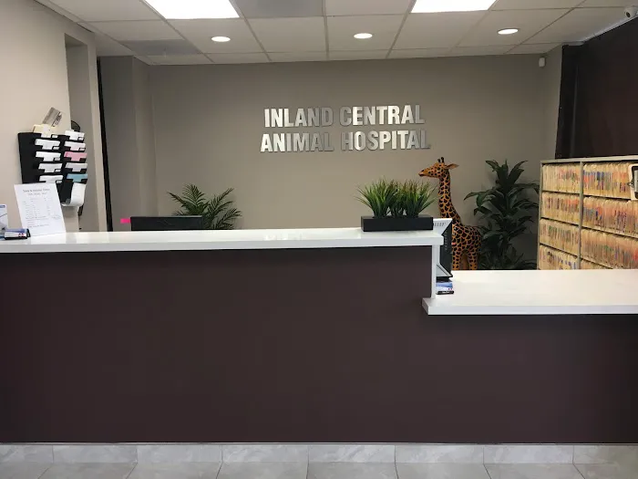 Inland Central Animal Hospital Picture 7