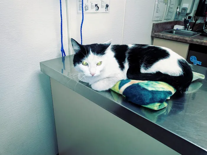 Inland Central Animal Hospital Picture 4