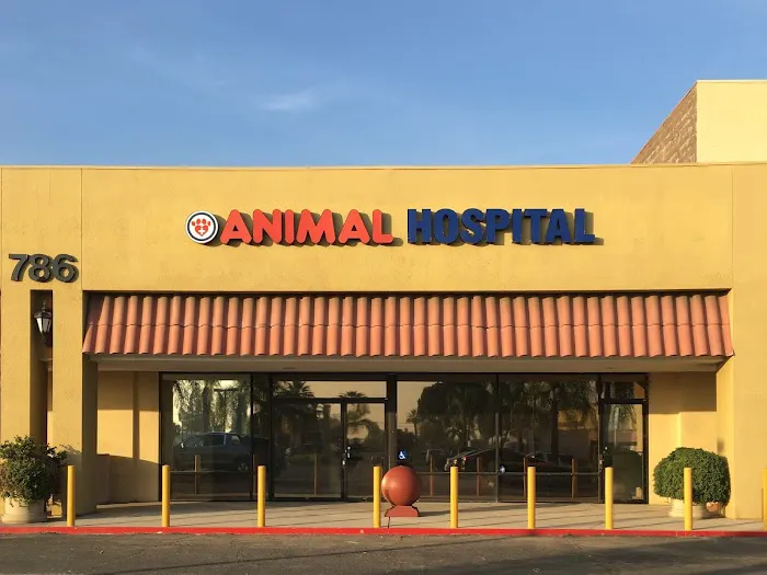 Inland Central Animal Hospital Picture 6