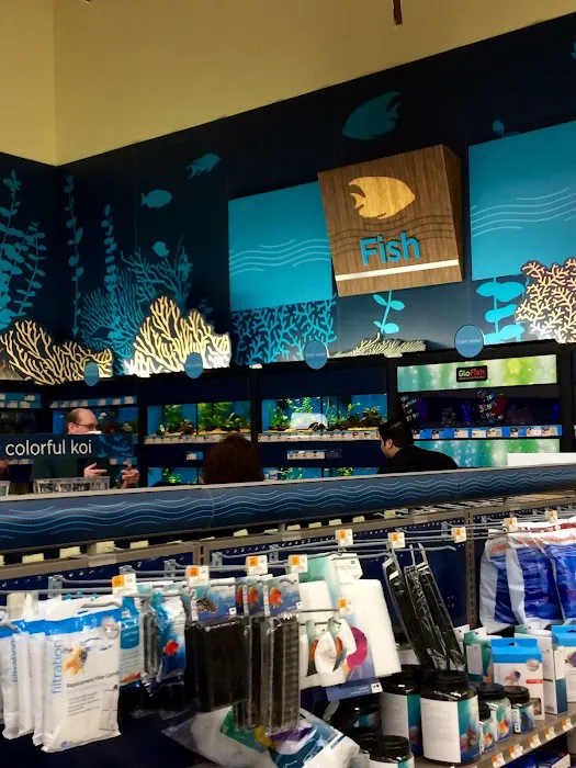 Petco Picture 2